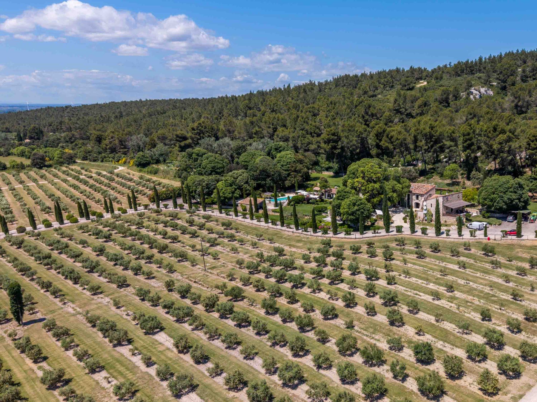 Mas de la Tourelle villa photo.