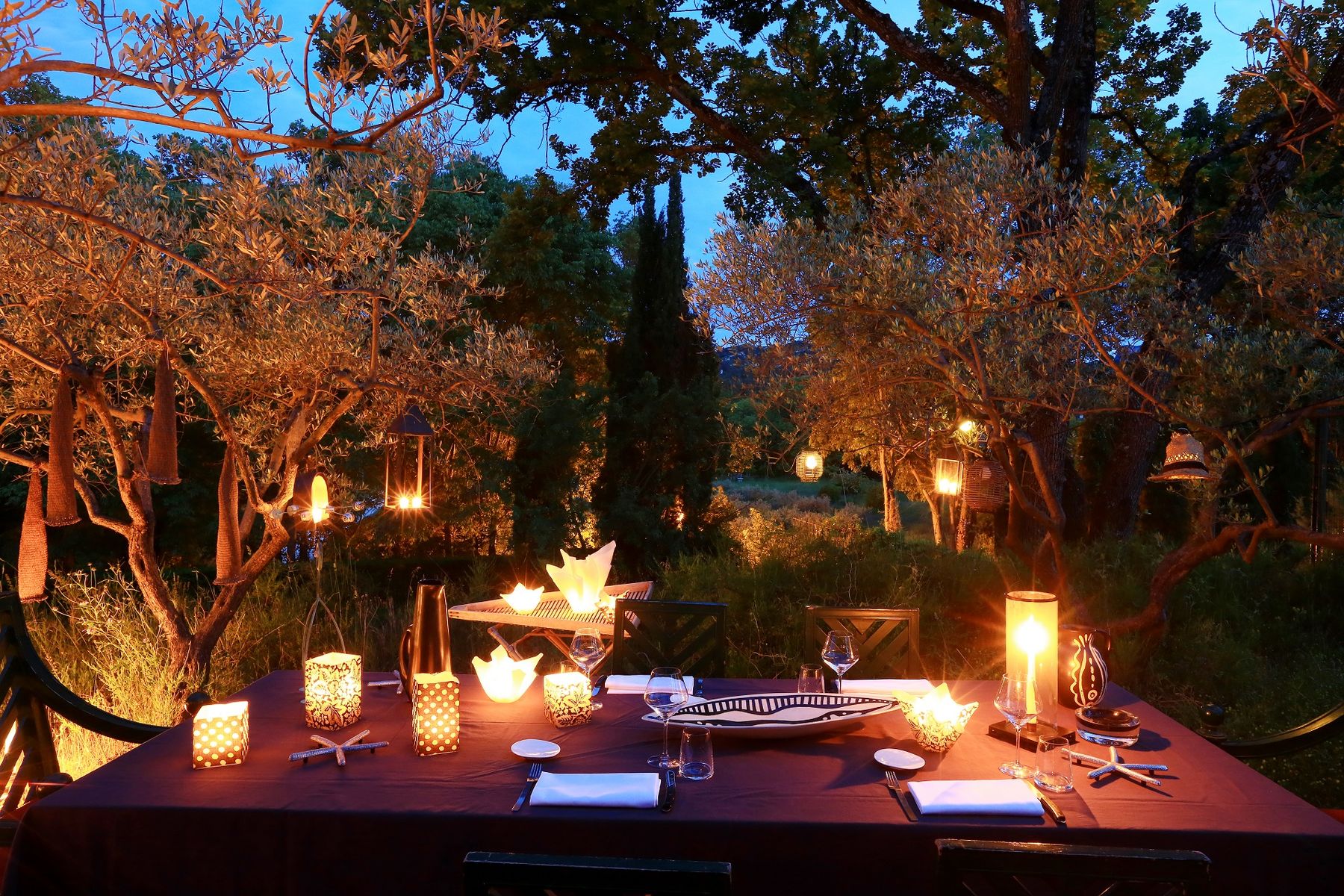 Mas des Eclats villa photo.
