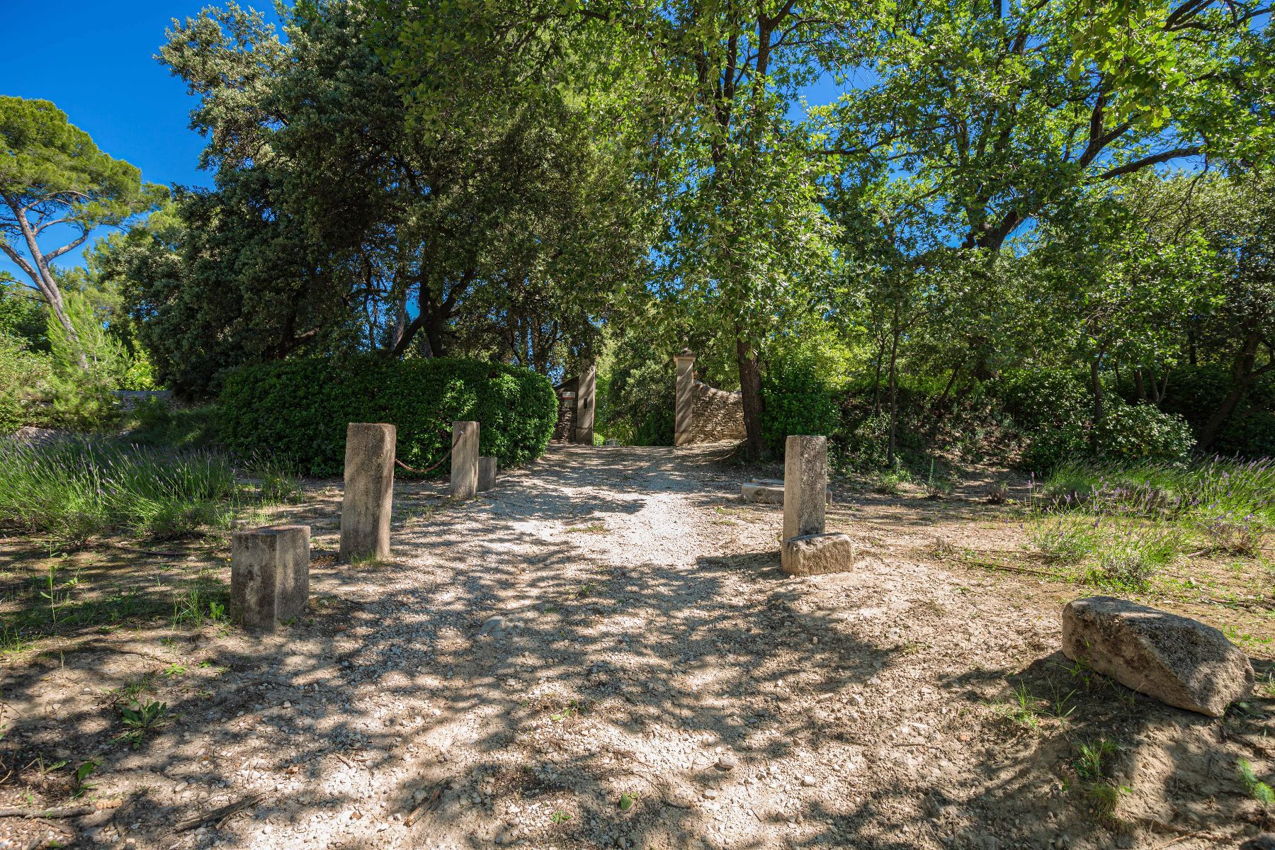 Mas du Calanquet villa photo.
