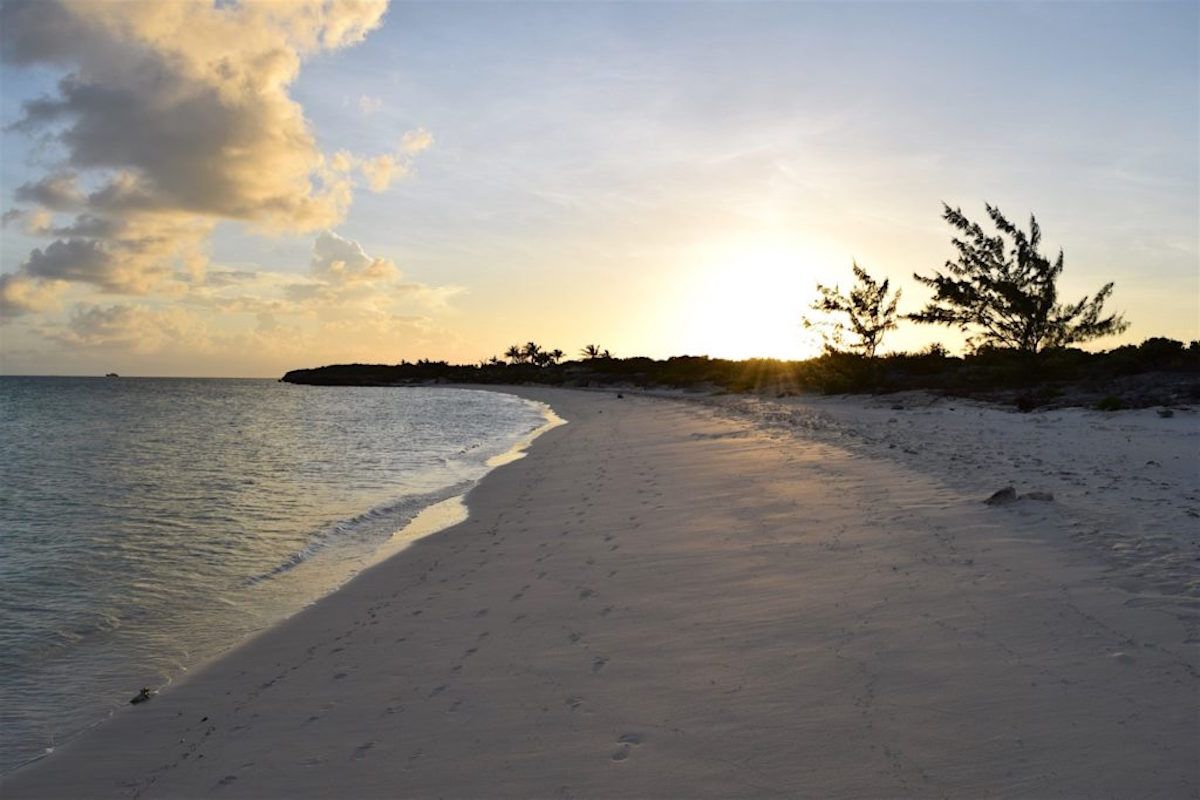 Taylor Bay Beach