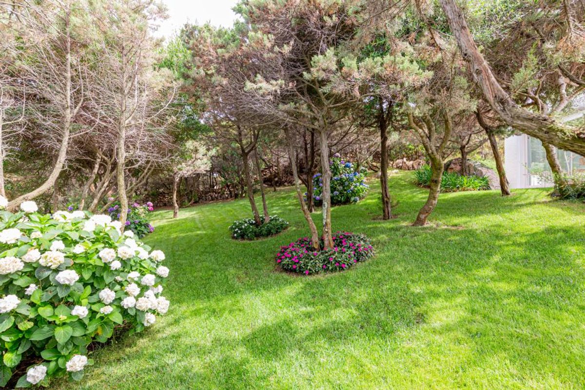 Villa Paradiso villa photo.