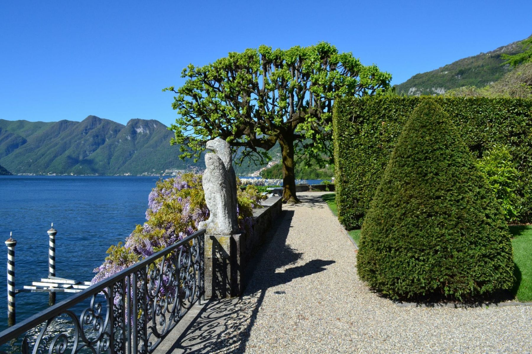 Villa dei Cardinali villa photo.