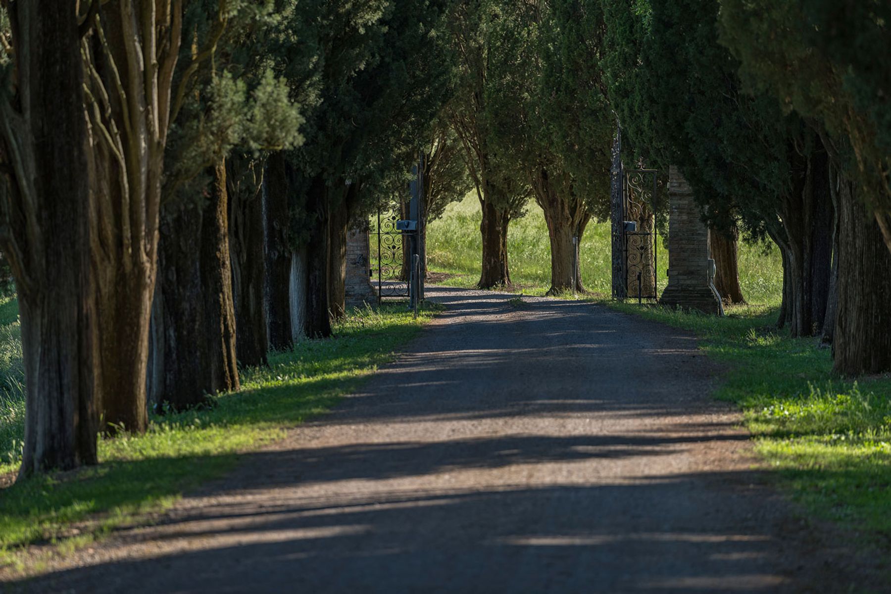 Driveway