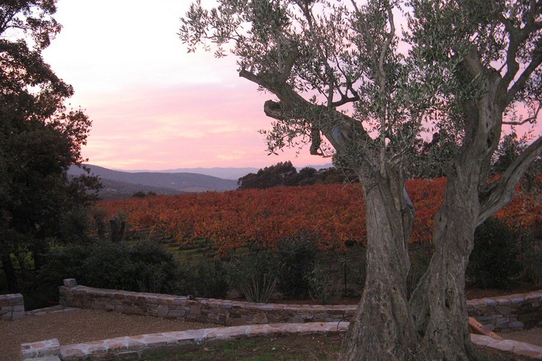 Bastide de la Croix villa photo.