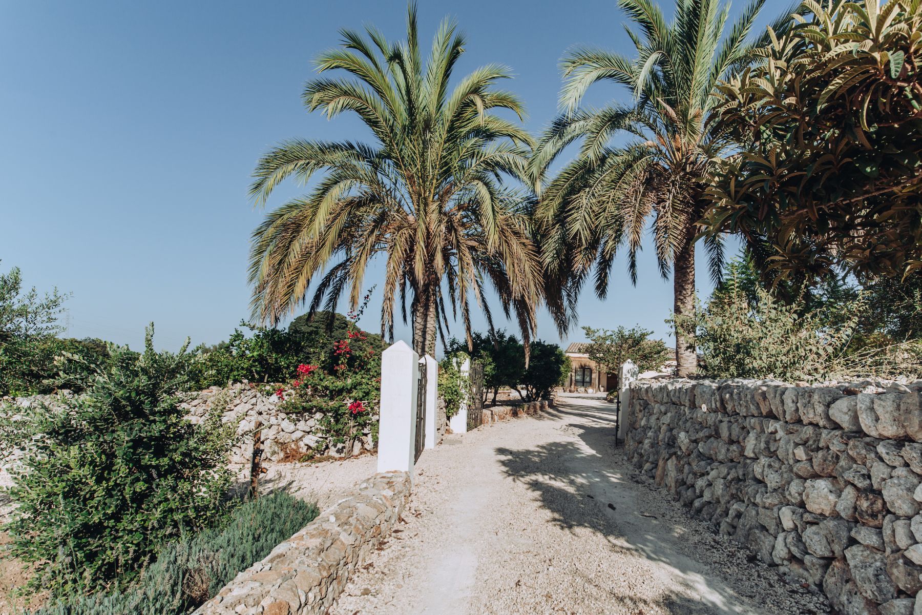 Finca Only Summer villa photo.