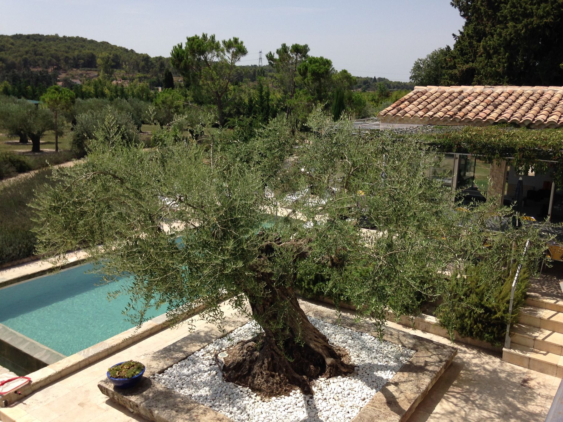 Mas des Grands Espaces villa photo.
