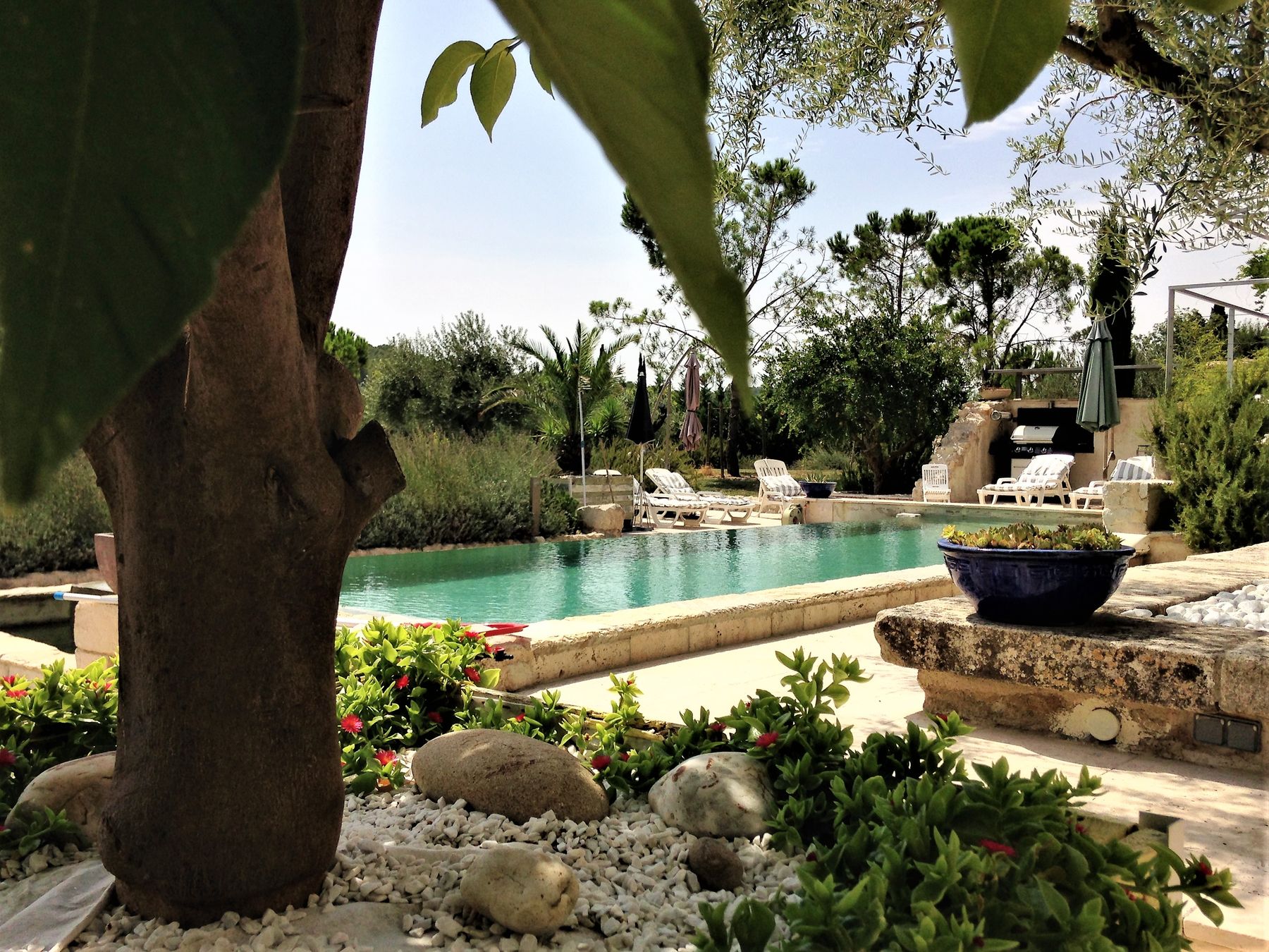 Mas des Grands Espaces villa photo.