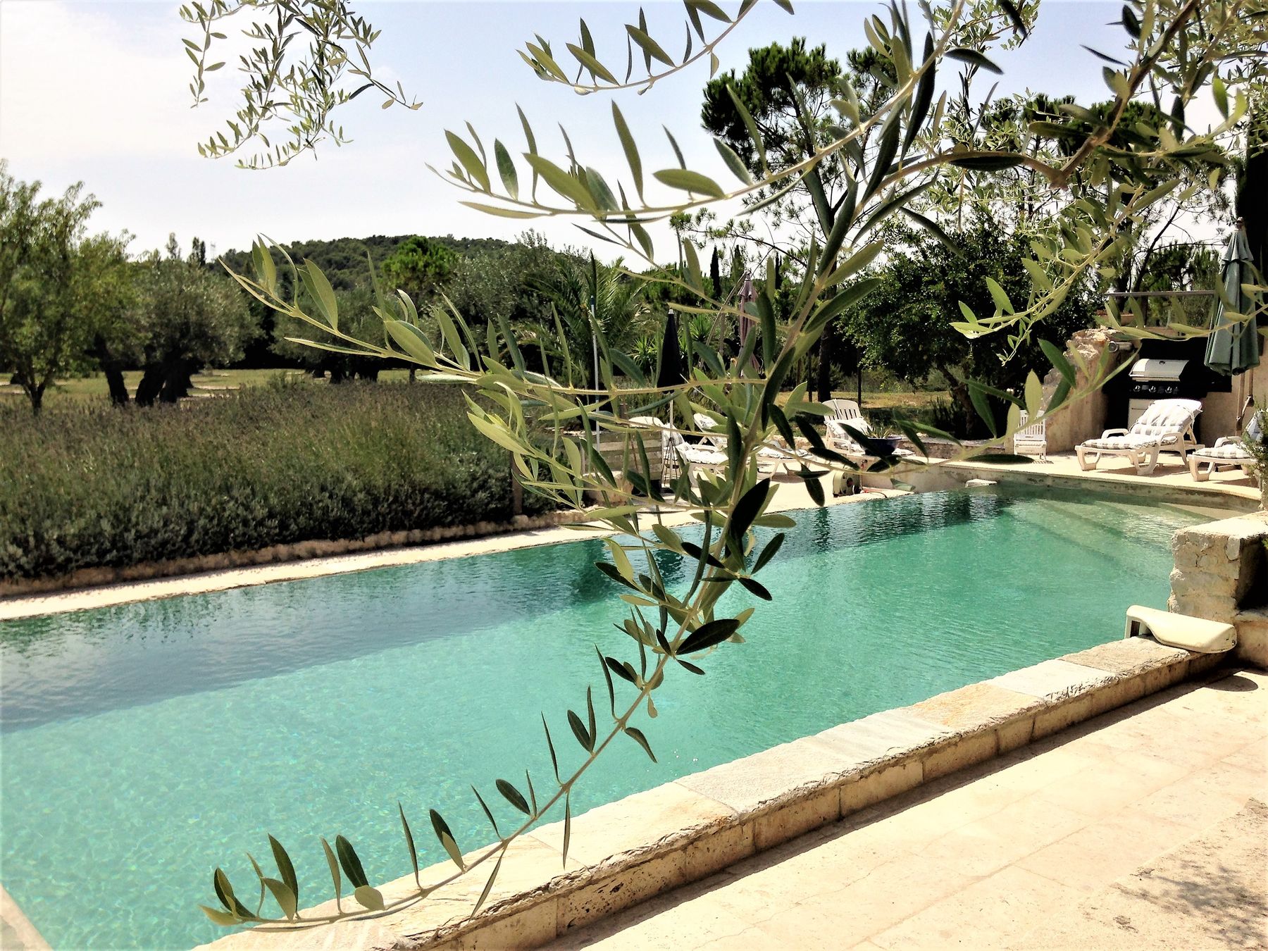 Mas des Grands Espaces villa photo.