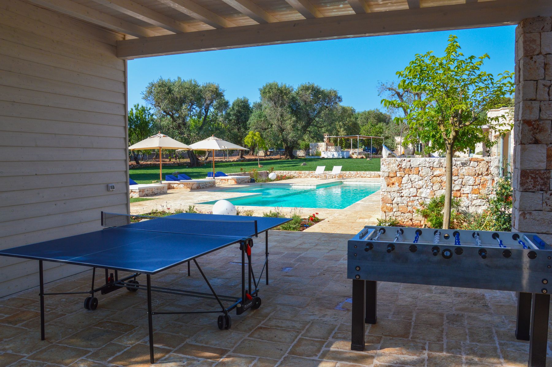Ping Pong Table