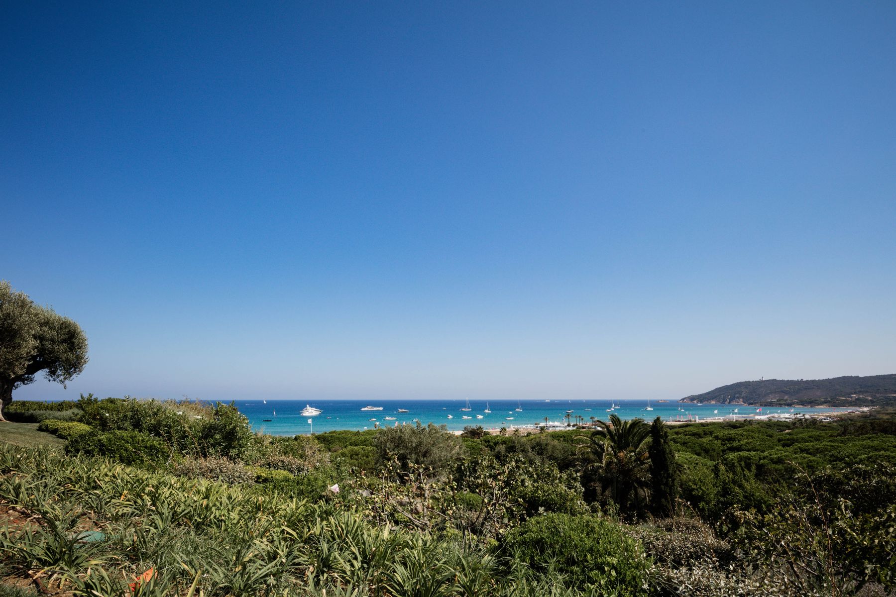 Carol Beach Villa villa photo.