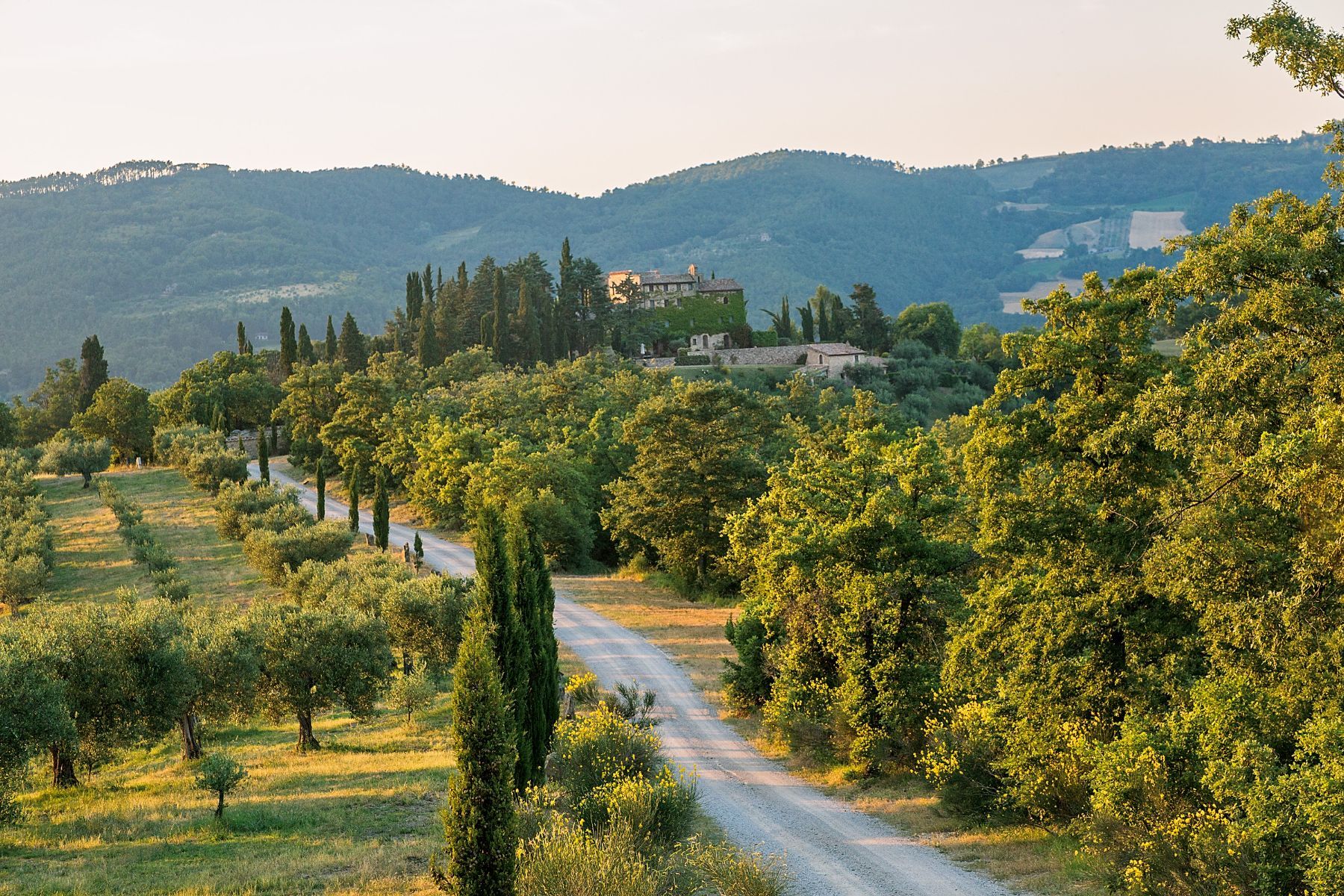 Borgo di Pietro villa photo.