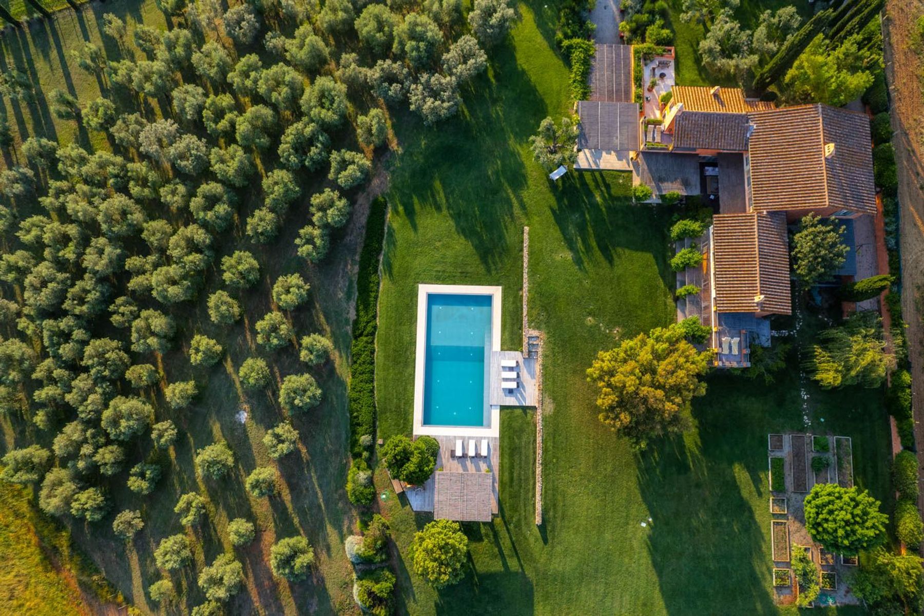 Armonia villa photo.