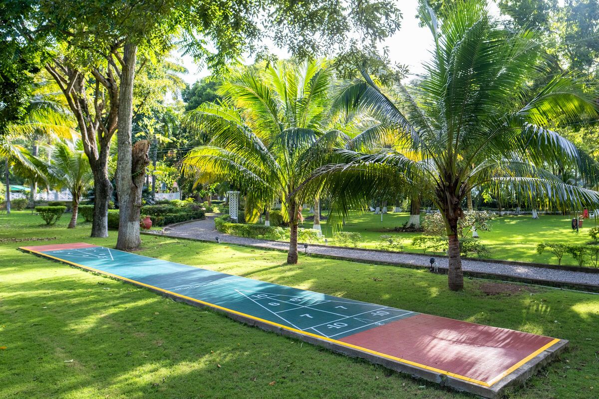 Shuffleboard and lawn games