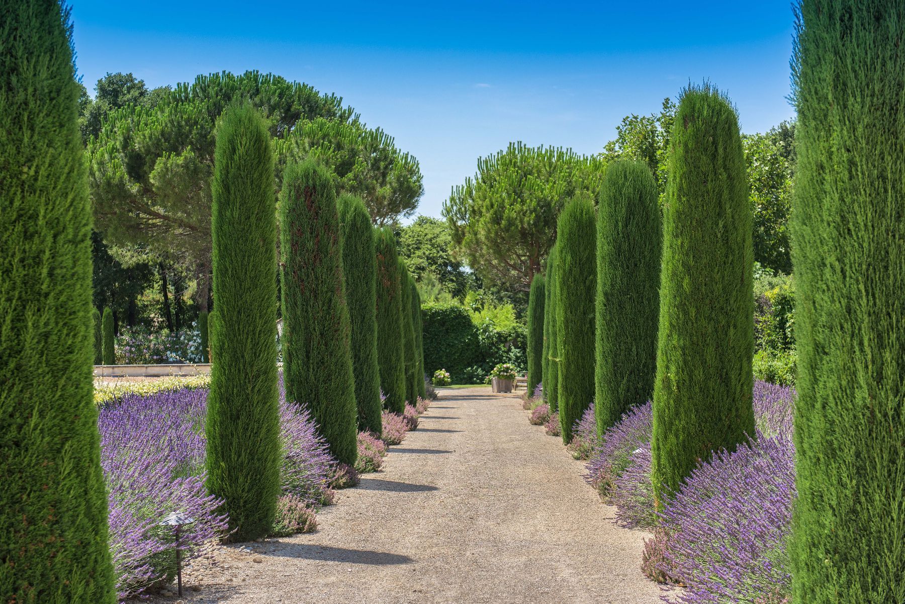 Domaine de Villeblanche villa photo.