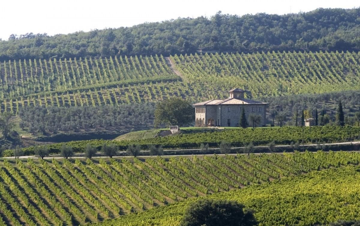 La Vigna di Orvieto villa photo.