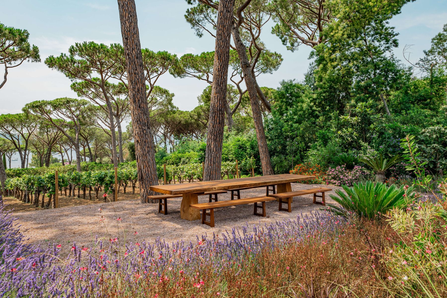 Domaine Tropique villa photo.