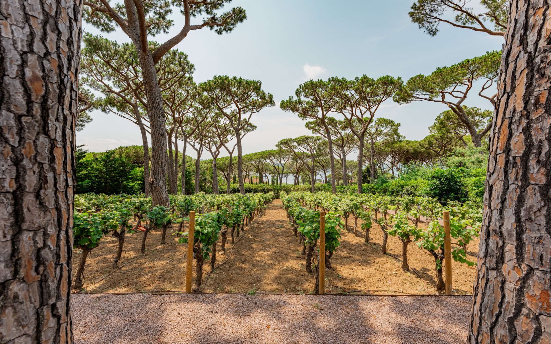 Domaine Tropique villa photo.