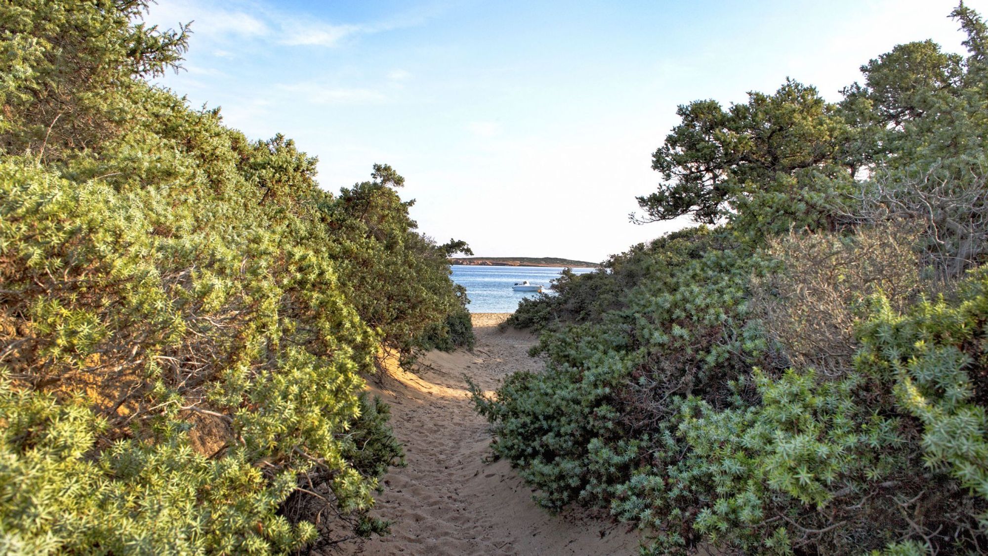 Santa Maria Beach House photo