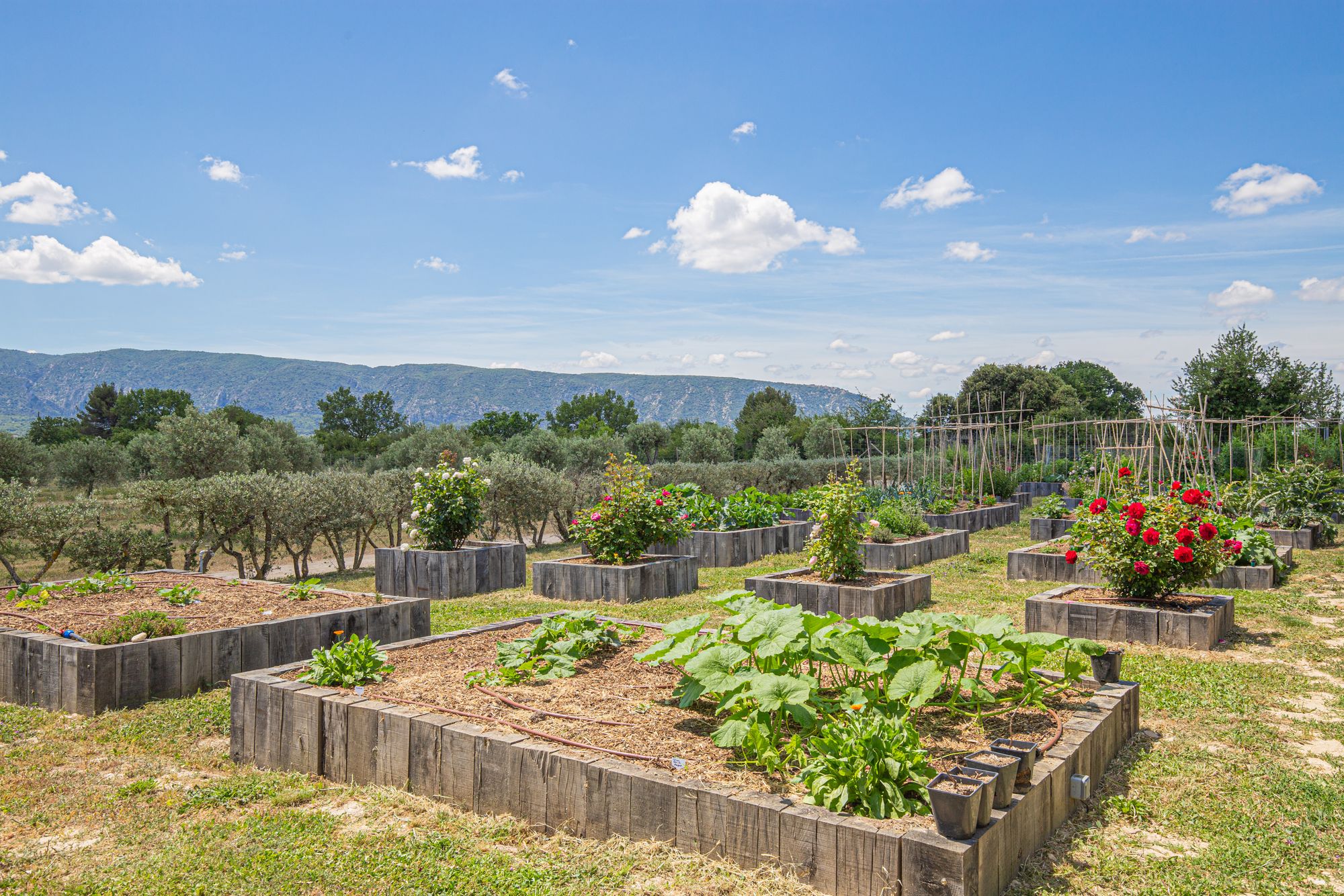 Bastide de la Senancole photo