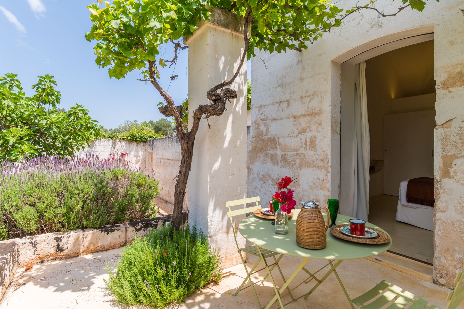 Masseria Oliva villa photo.