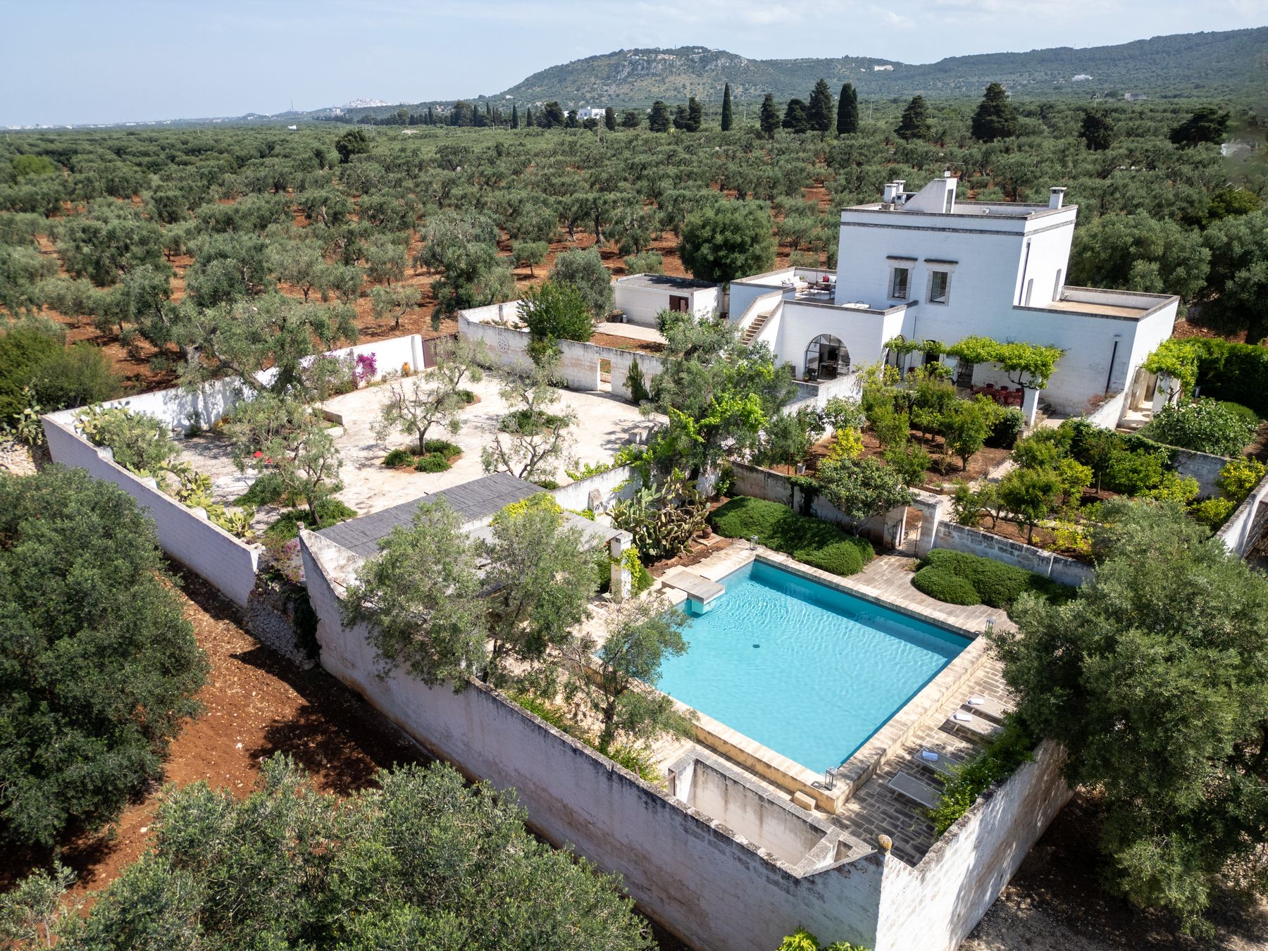 Masseria Oliva villa photo.