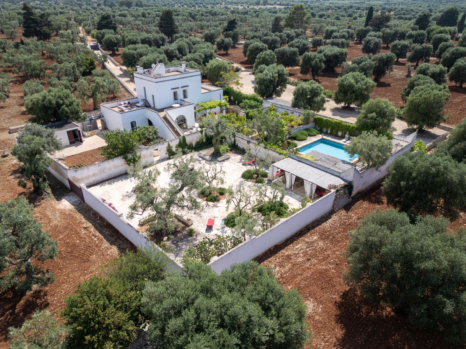 Masseria Oliva villa photo.