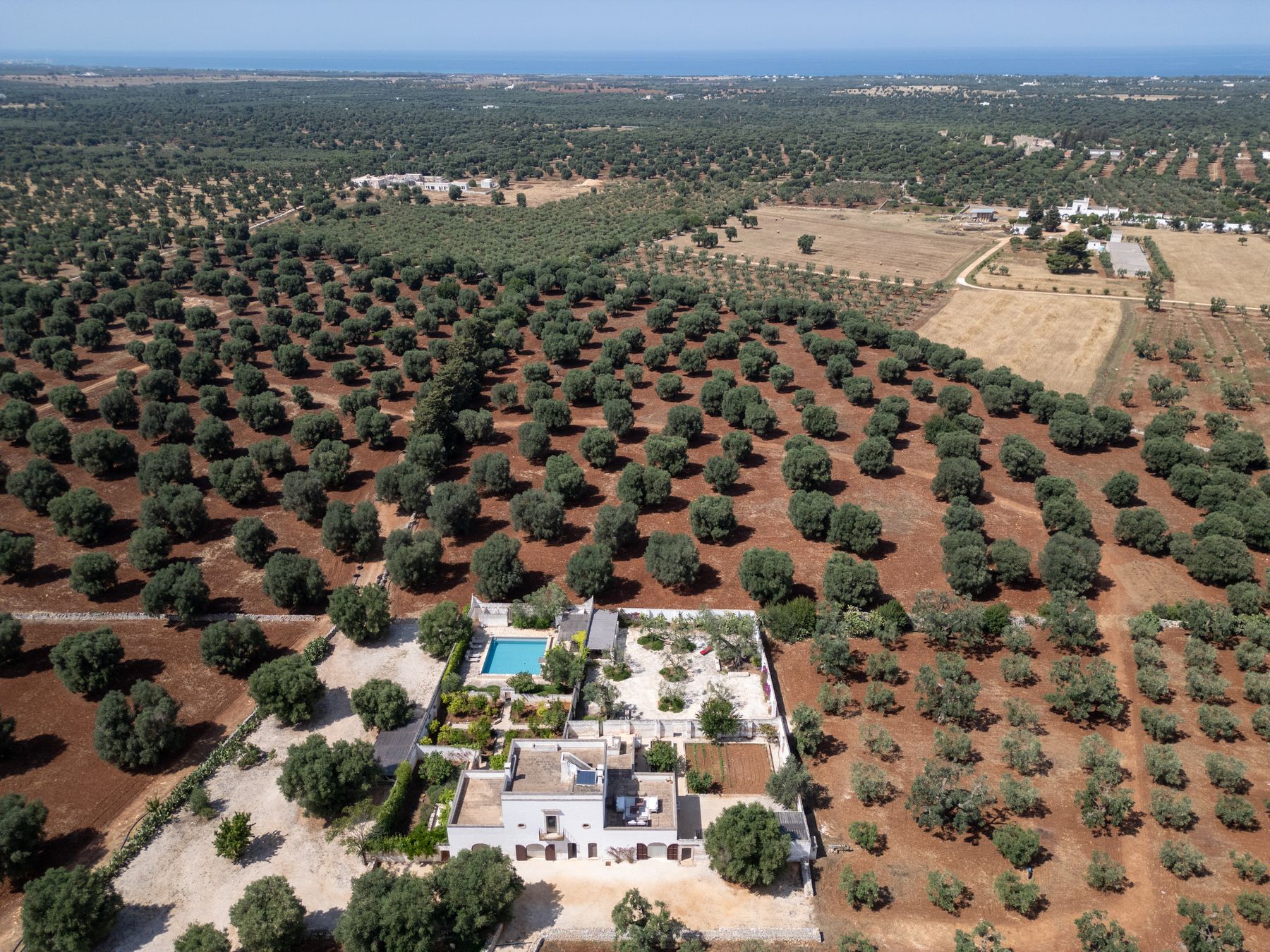 Masseria Oliva villa photo.