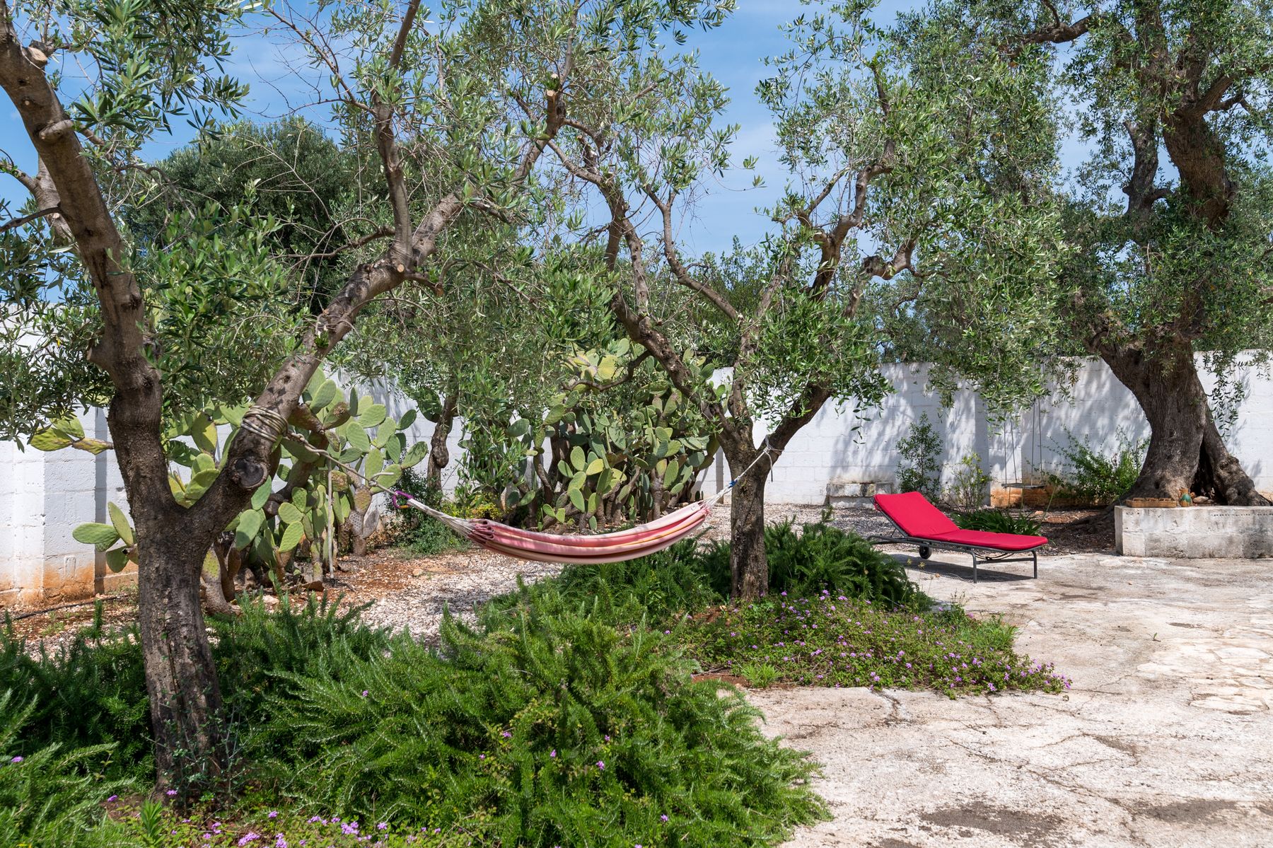 Masseria Oliva villa photo.