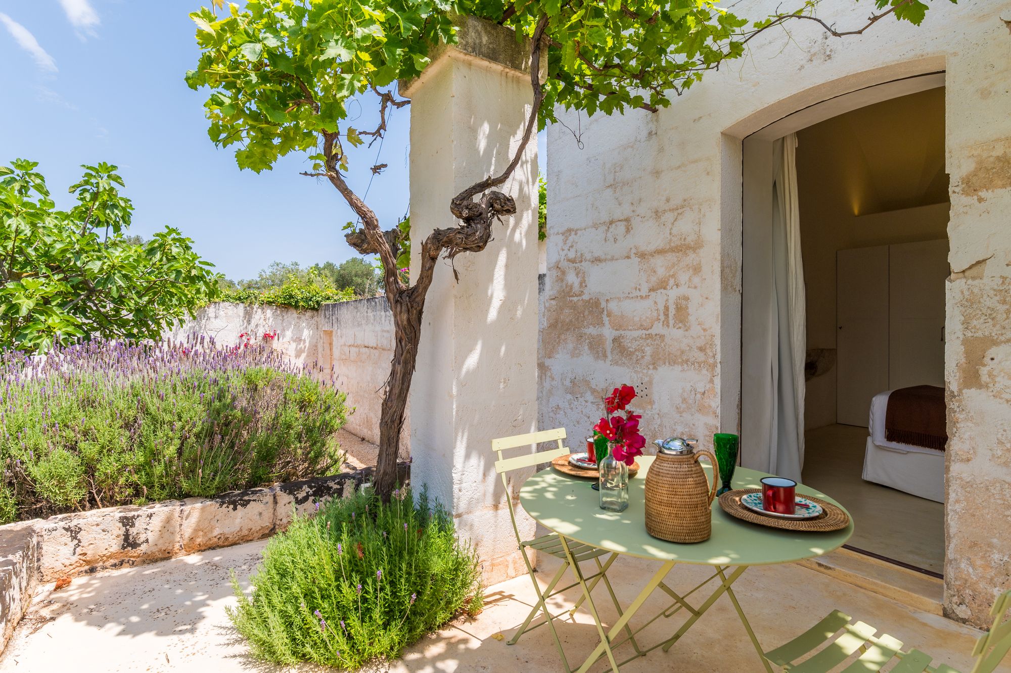 Masseria Oliva photo