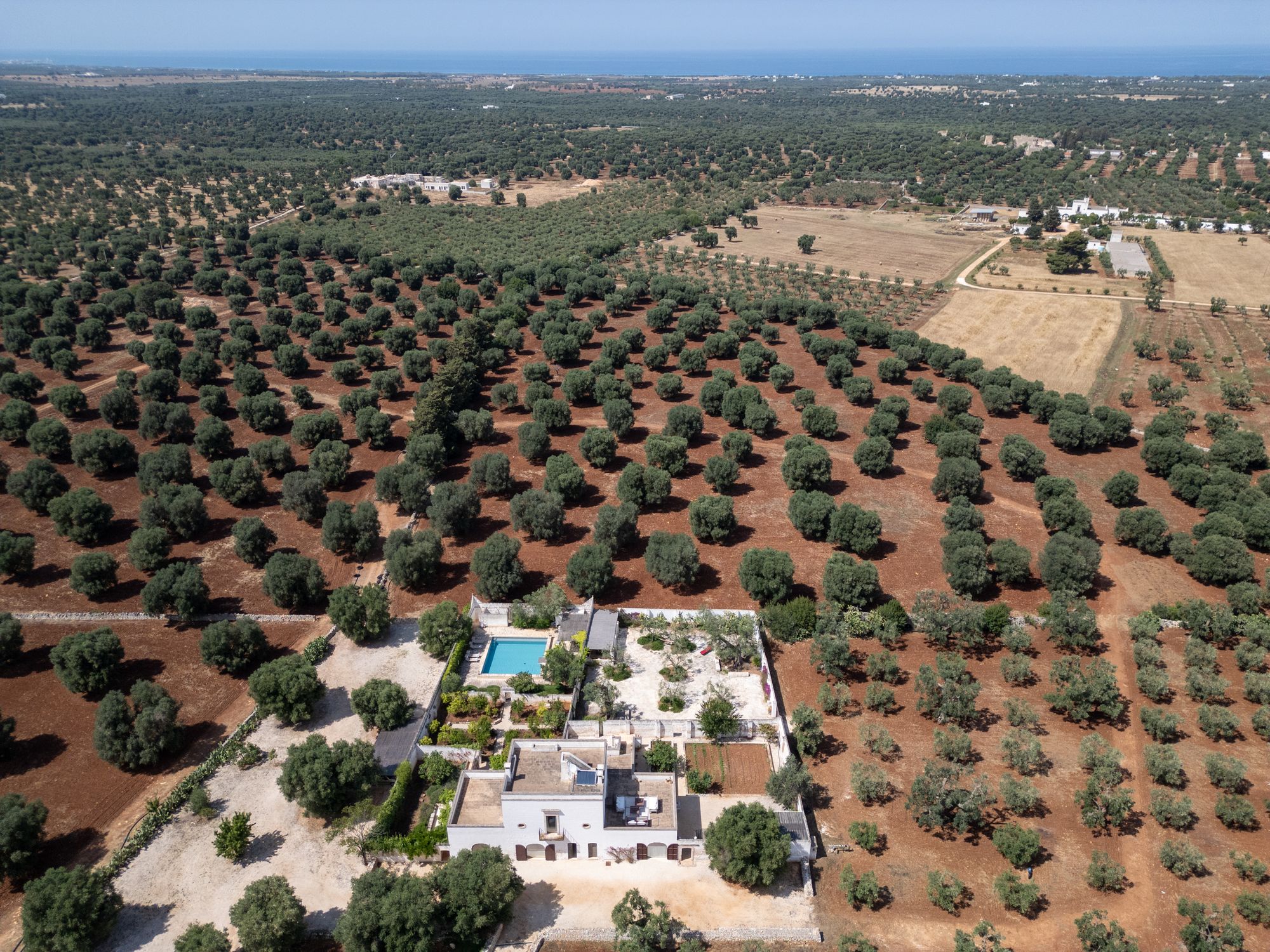 Masseria Oliva photo