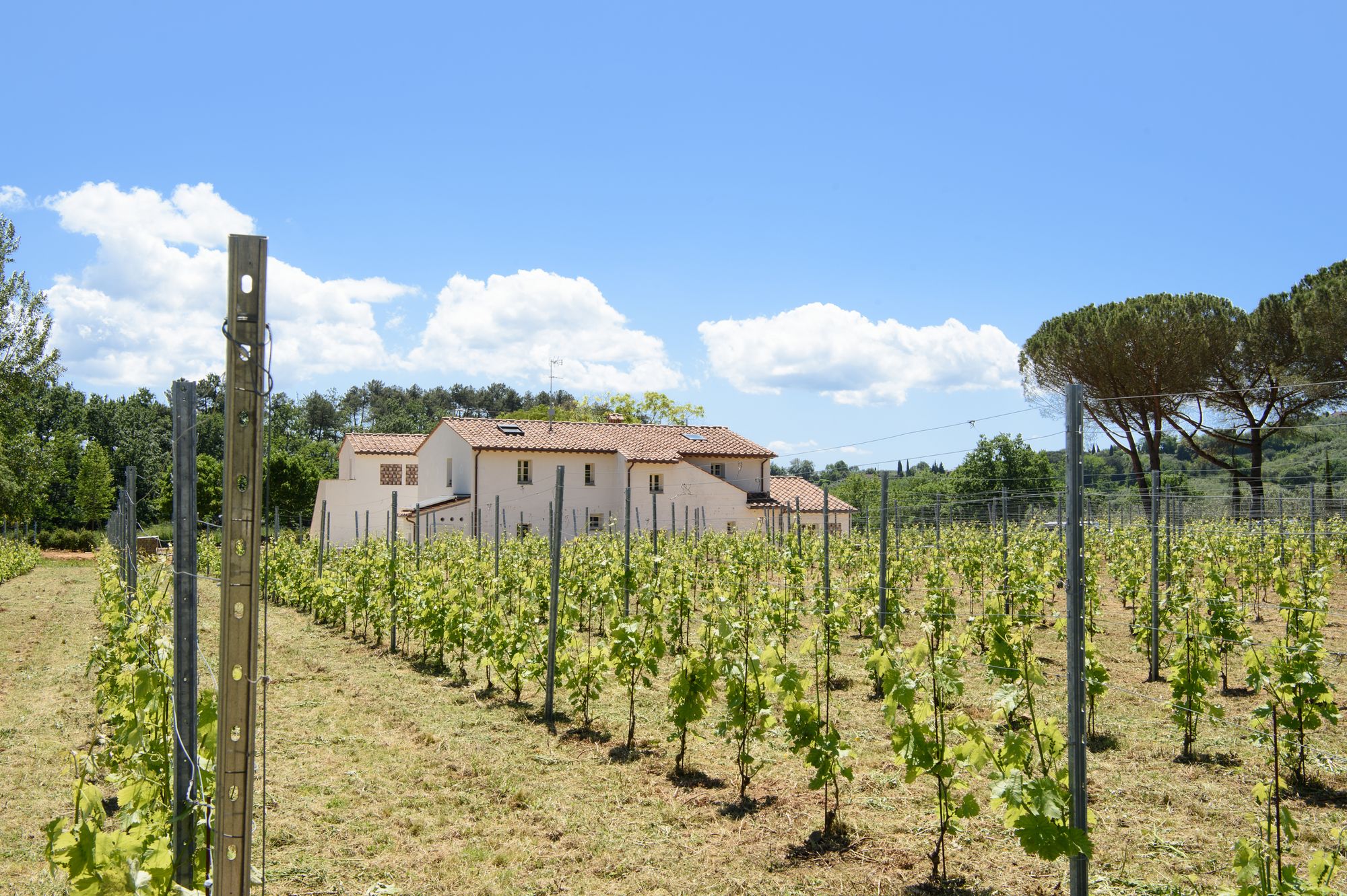 Villa Garofano photo