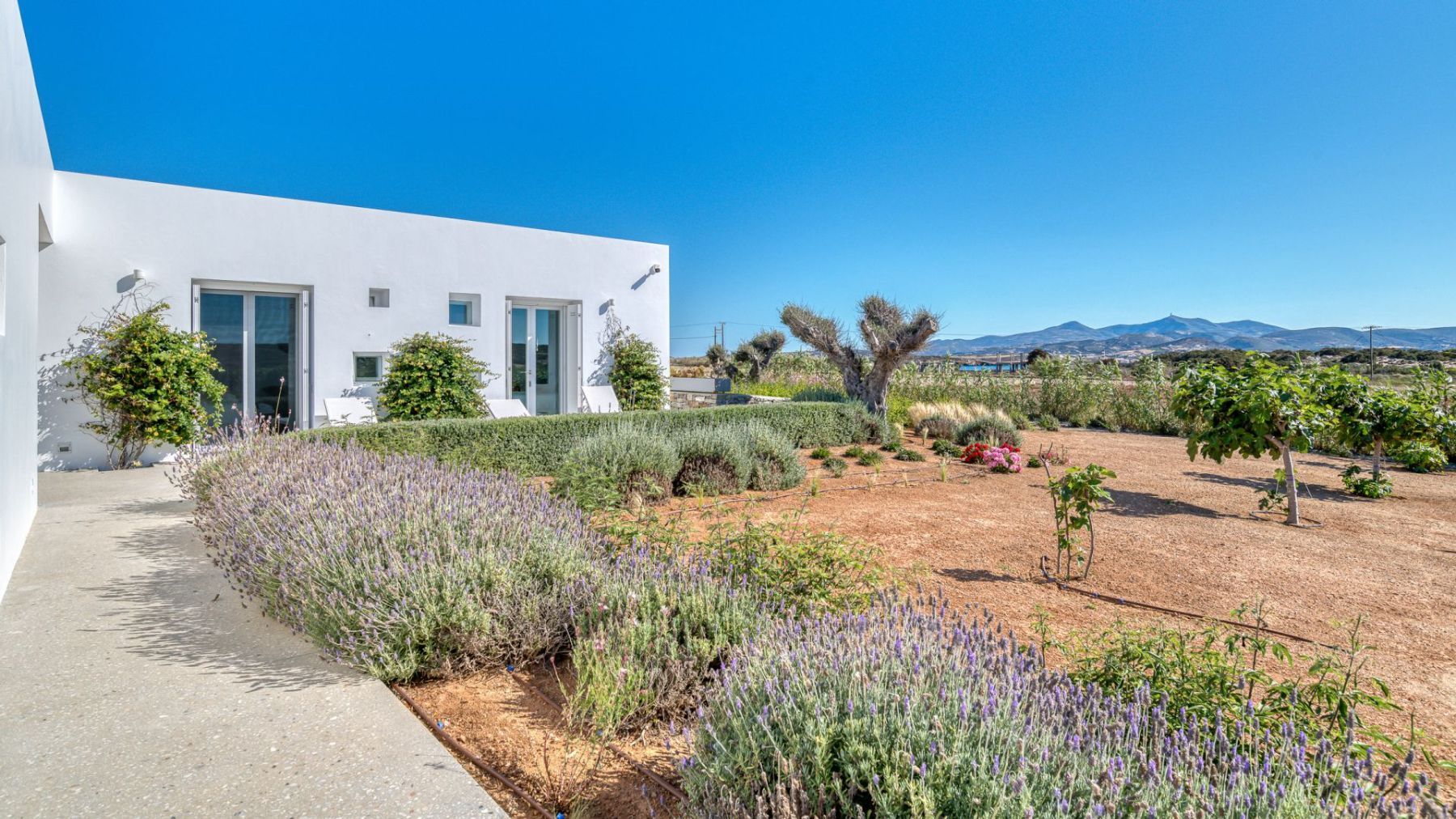 Silent Bay villa photo.