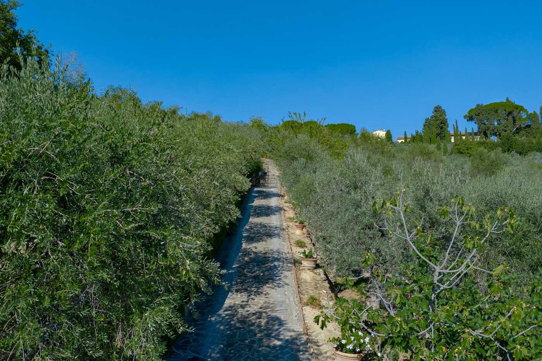 Impruneta villa photo.