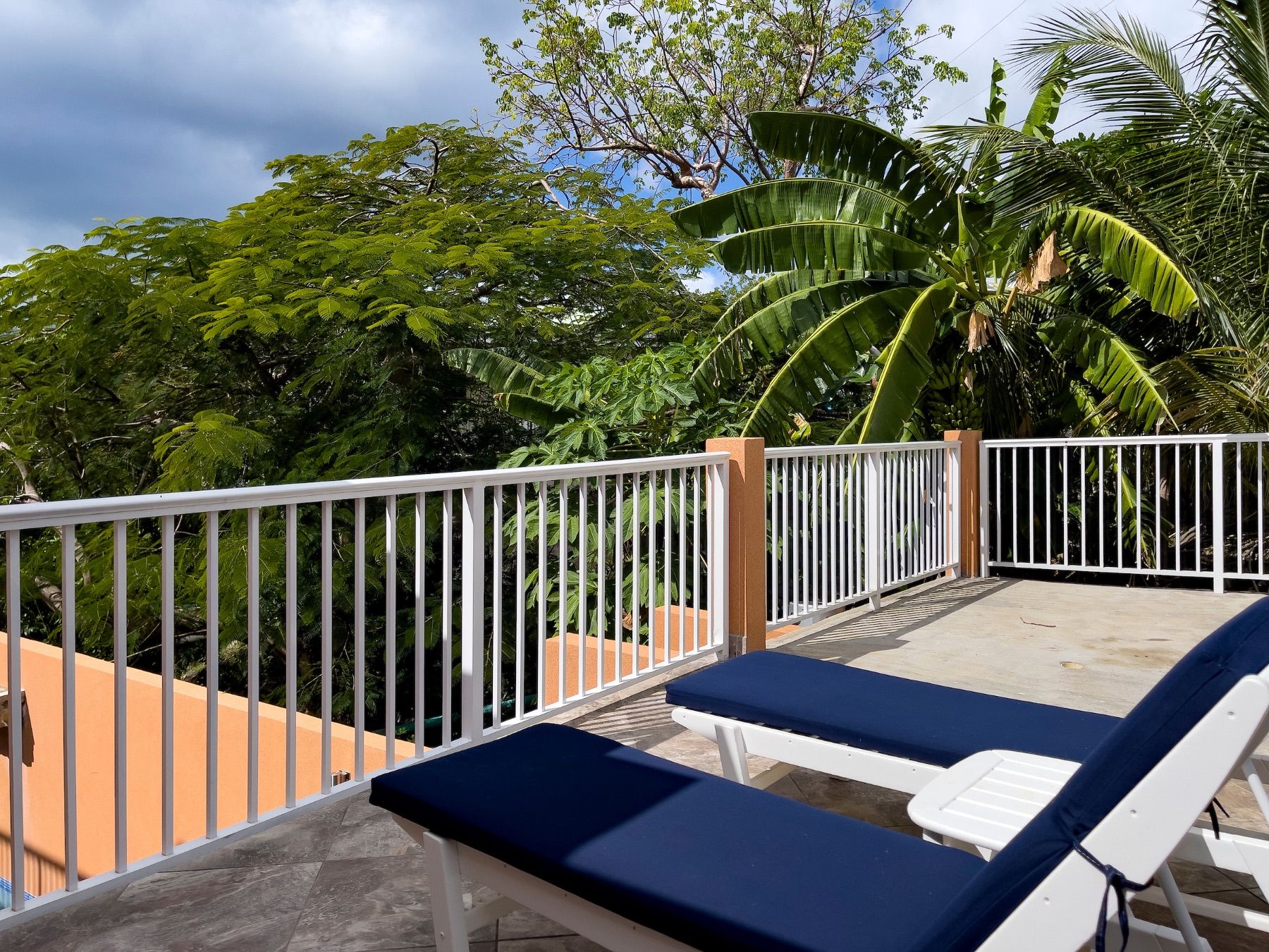 Cay Syrah villa photo.