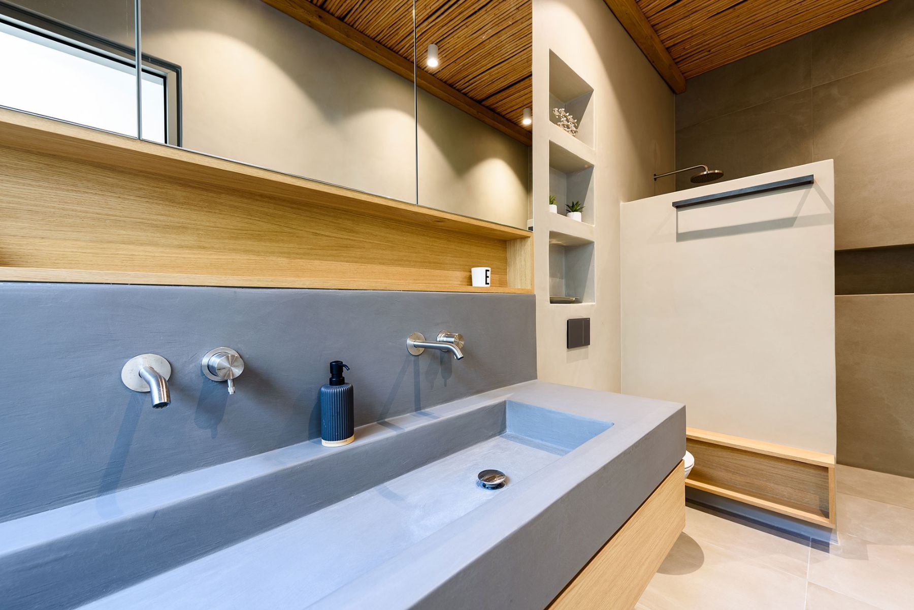 Ensuite bathroom with large basin and walk-in shower.