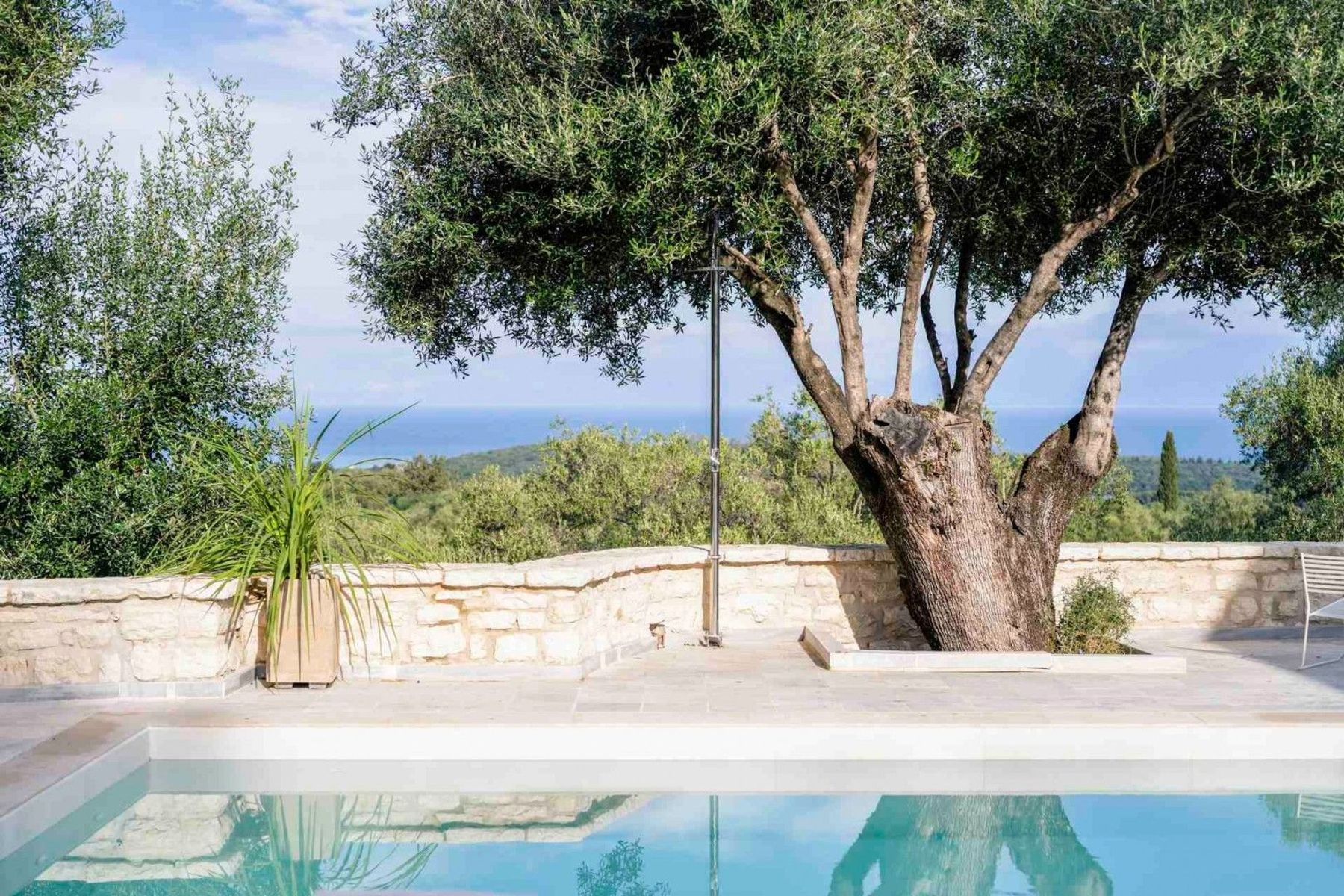 The estate is the ultimate escape for nature lovers seeking privacy, tranquility, and luxury accommodation.