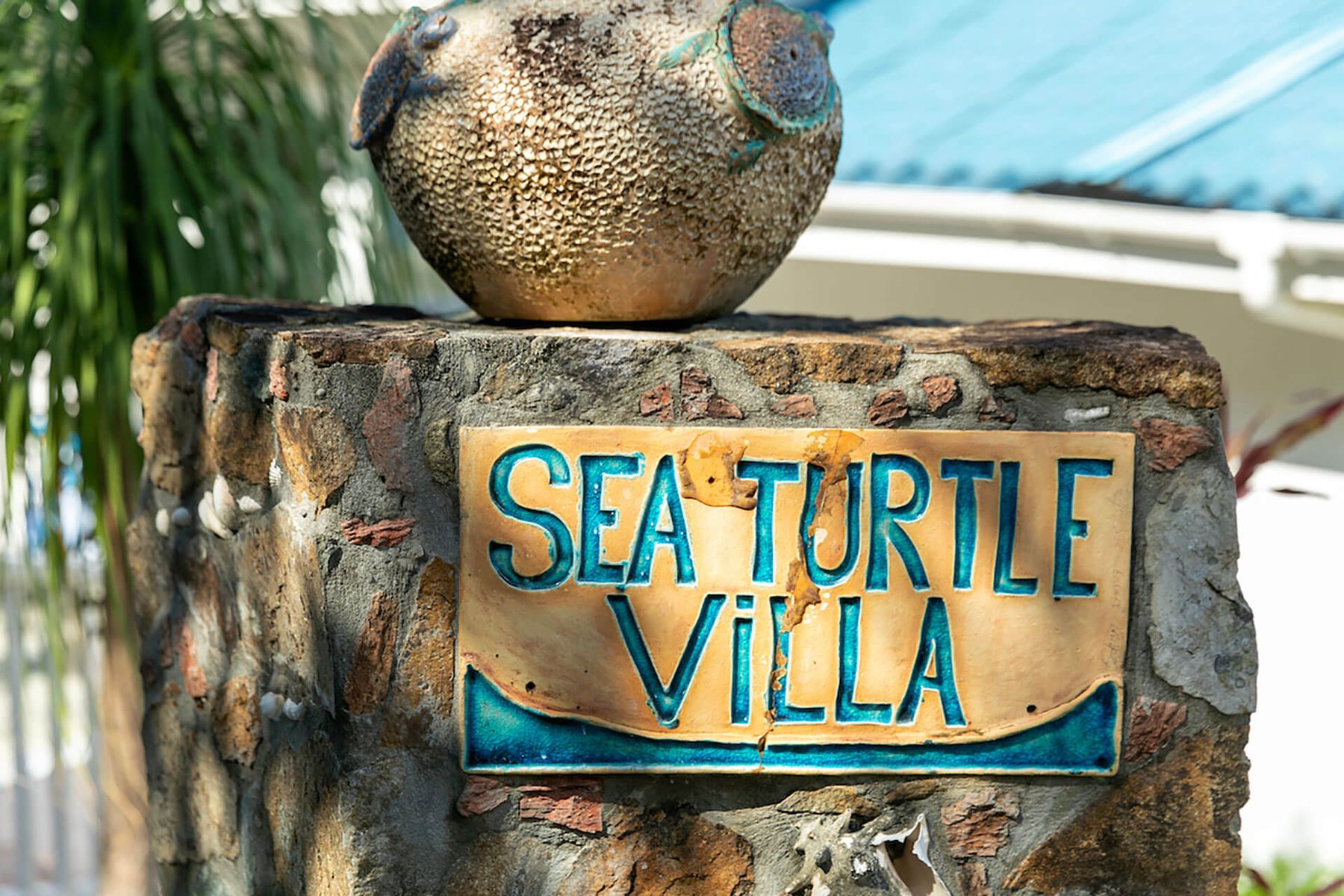 Sea Turtle villa photo.