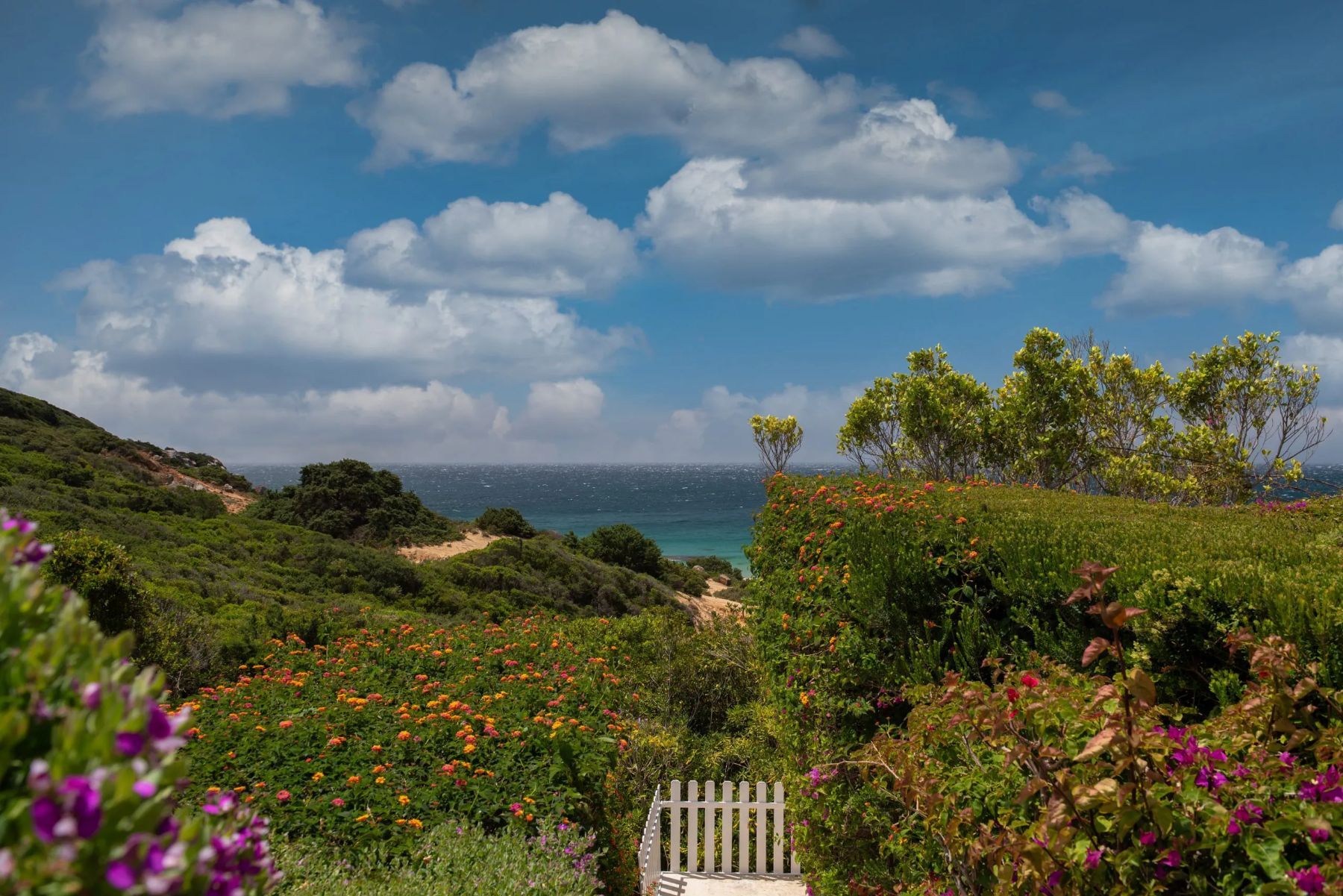Villa La Bandida  villa photo.