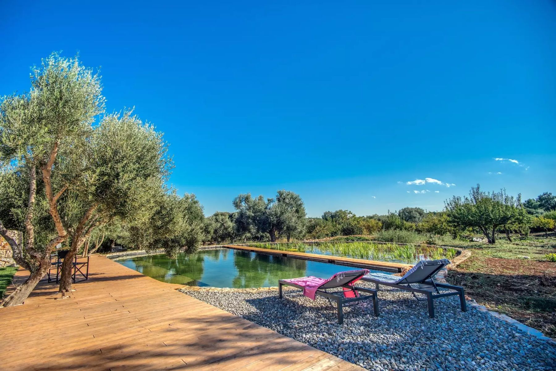 Masseria Pesto villa photo.