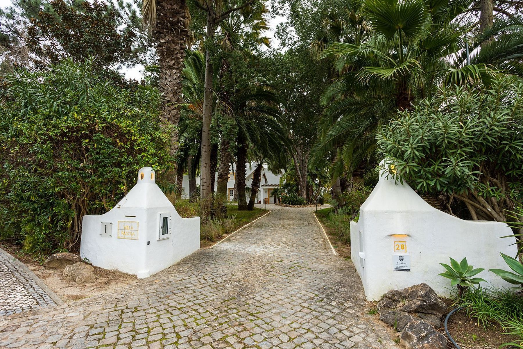 Villa Lima villa photo.