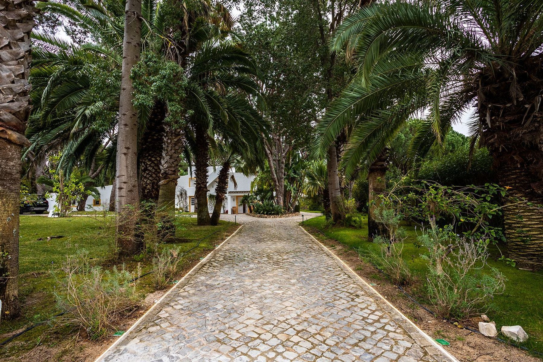 Villa Lima villa photo.