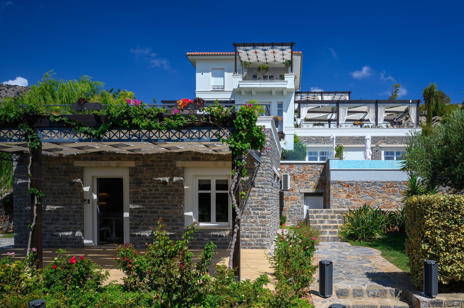 Camellia villa photo.