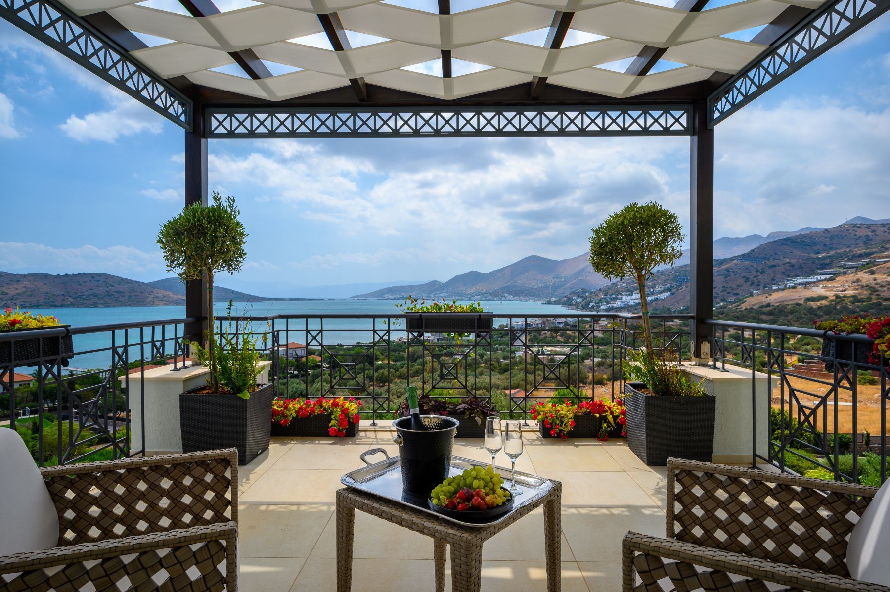 Camellia villa photo.