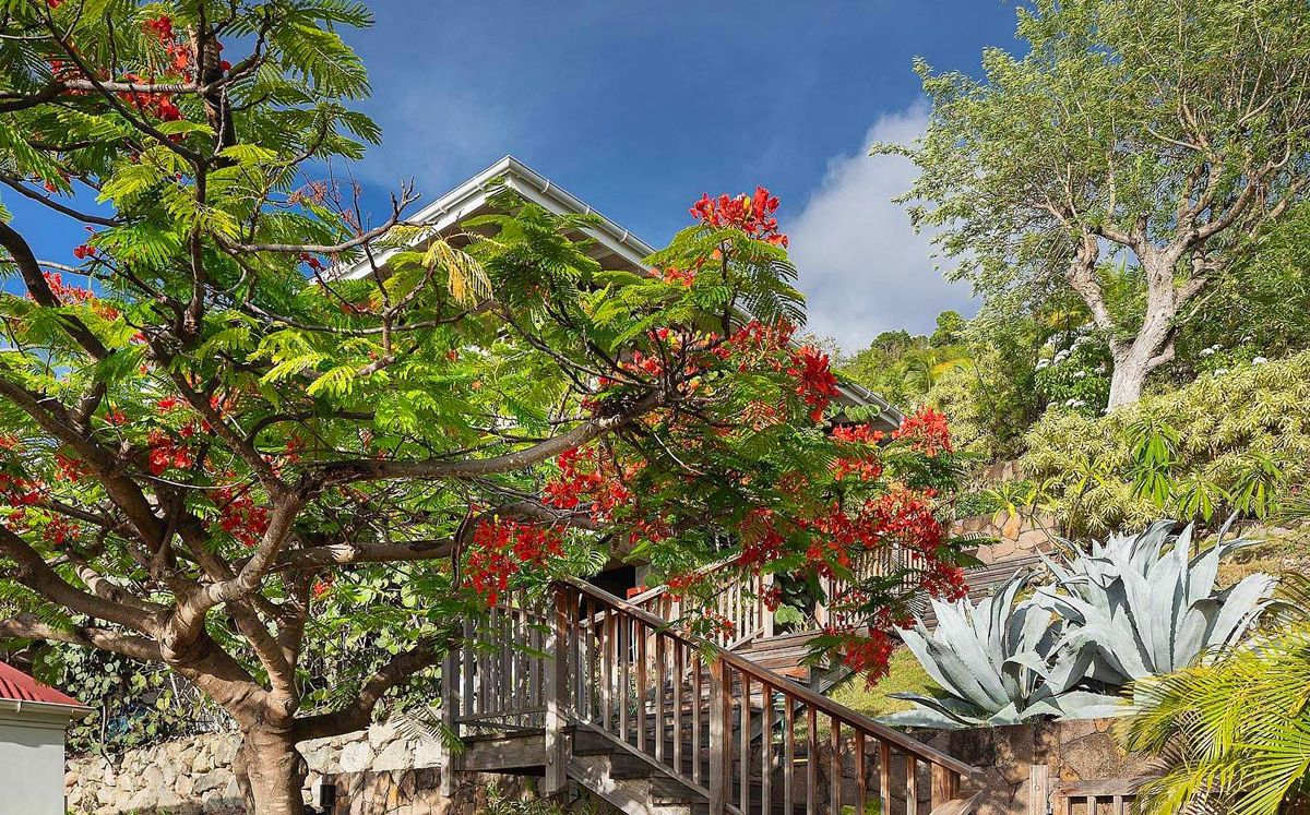 Angelina Villa villa photo.