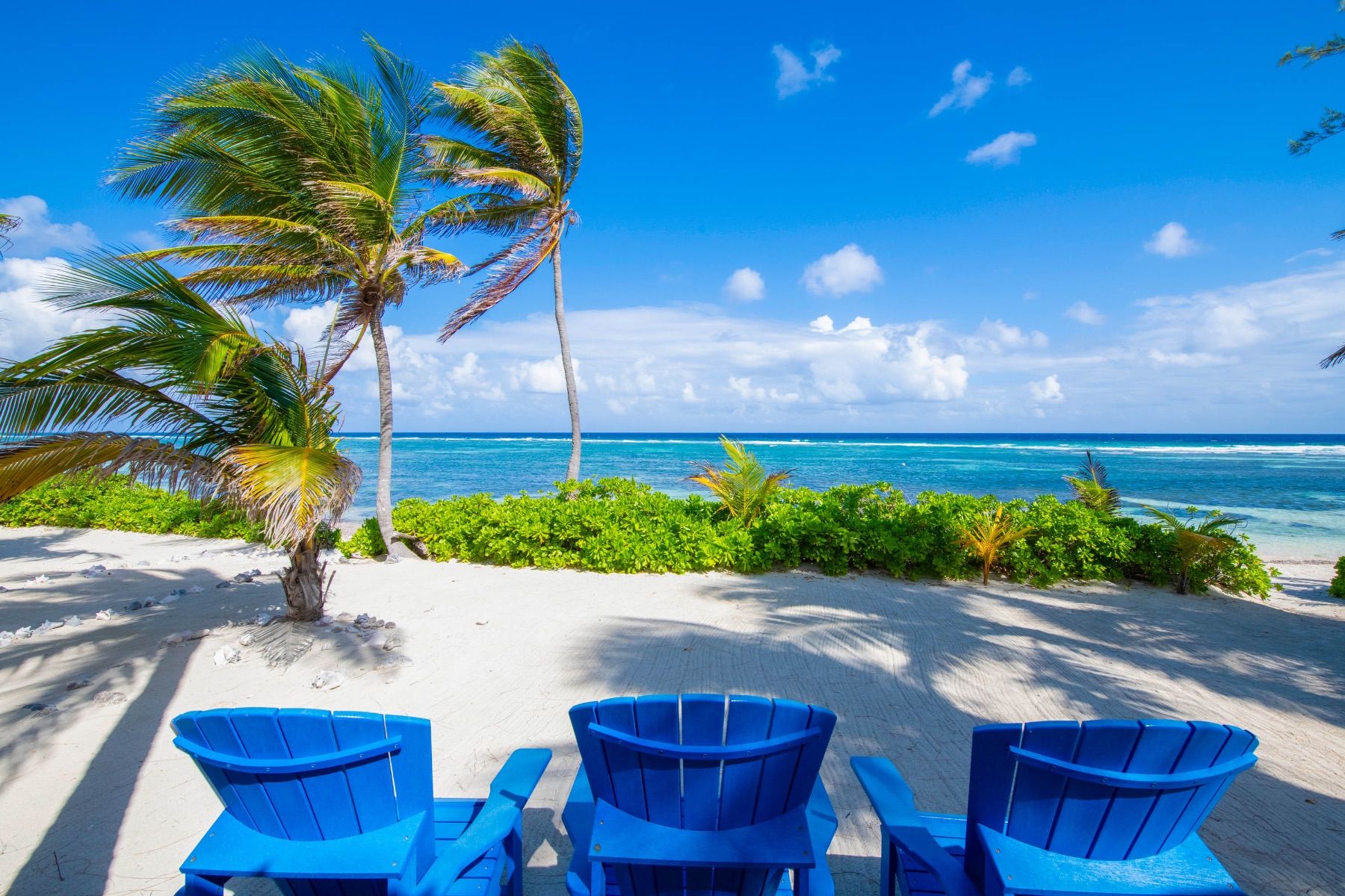 Coconut Beach Villa villa photo.