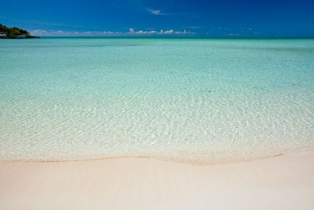 The beautiful waters of Taylor Bay 