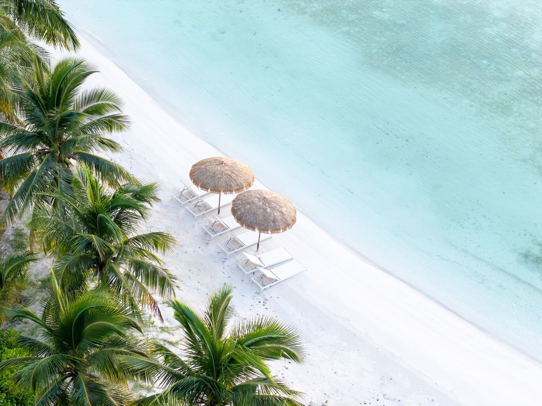 Three Bees at Harbour Island villa photo.