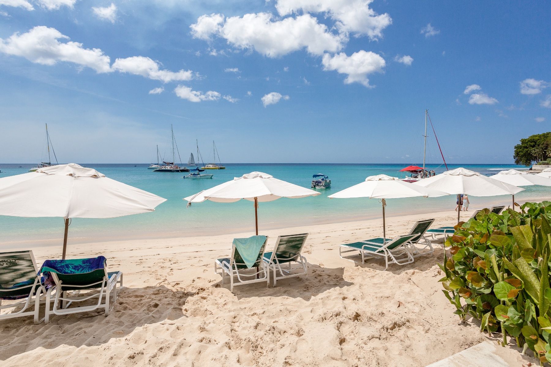Beachfront at Coral Cove 