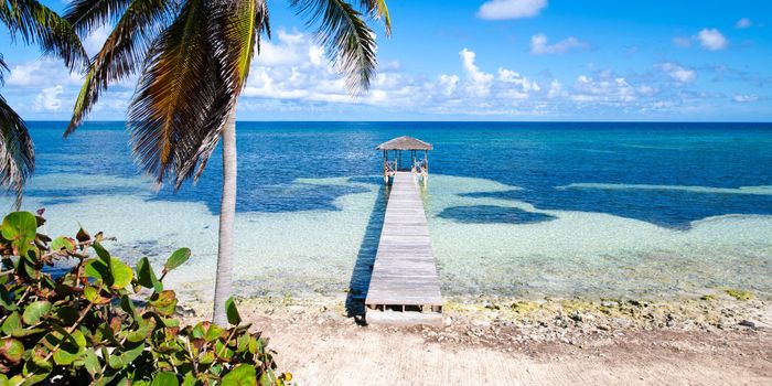 Castaway Cove villa photo.