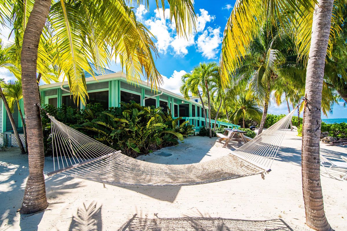 Hammock